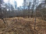 Lot 587 Begonia Dr - Photo 1