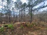 Lot 589 Begonia Dr - Photo 4