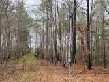 470/510 Ivey Farms Rd - Photo 3