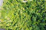 0 Braswell Lake Road - Photo 9