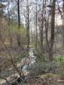 696 Hwy 49 - Photo 13