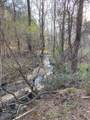 696 Hwy 49 - Photo 14