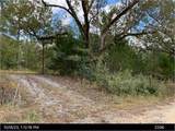 1300 Johns Golden - Photo 1