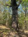 3950 Highway 57 - Photo 15