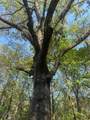 3950 Highway 57 - Photo 16