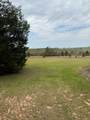 2235 Long Branch Road - Photo 18