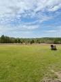 2235 Long Branch Road - Photo 22