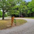 5321 S Hwy 15 - Photo 47