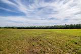 21701 Highway 441 - Photo 9