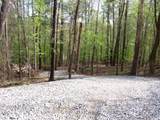 0 Brer Rabbit Trail - Photo 3