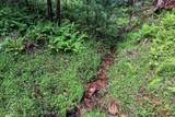230 Rushing Water Drive - Photo 21