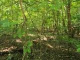 Lot 401 Cedar Drive - Photo 3