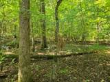 Lot 401 Cedar Drive - Photo 6