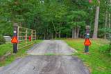 110 Birch Cove - Photo 65