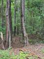 Lot 177 Laurel Way - Photo 3