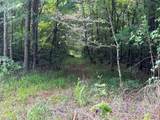 Lot 50 Burtom Road - Photo 8