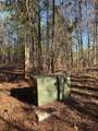 641 Dennis Station Rd - Photo 10