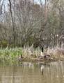 122 Flat Rock Rd - Photo 48