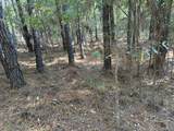 672 Twin Bridges Road - Photo 5