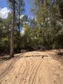 1806 Trawick Rd - Photo 23