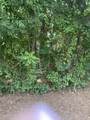 lot  398 Little River Dr - Photo 1