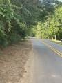 lot  398 Little River Dr - Photo 2