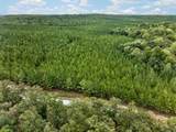 0 Black Creek Road - Photo 12