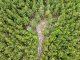 0 Black Creek Road - Photo 13