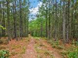 0 Black Creek Road - Photo 19