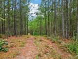 0 Black Creek Road - Photo 20