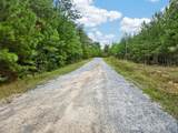 0 Black Creek Road - Photo 21