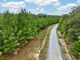 0 Black Creek Road - Photo 24