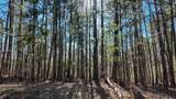 LOT 224 Hickory Pass - Photo 21