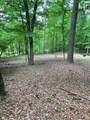 0 Brer Rabbit Trail - Photo 2