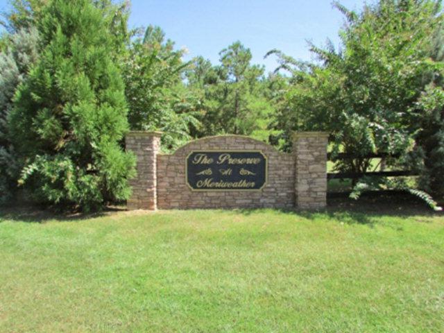 Lot 30 Sara Hunter Lane - Photo 1