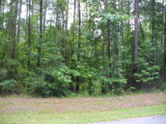 139 Twisting Hill Rd - Photo 1