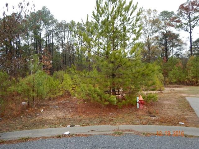 120 Whistle Way - Photo 1