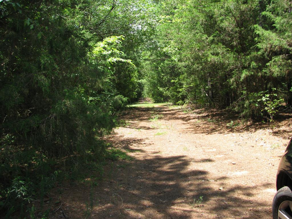 Tract B Thurmond Circle - Photo 1