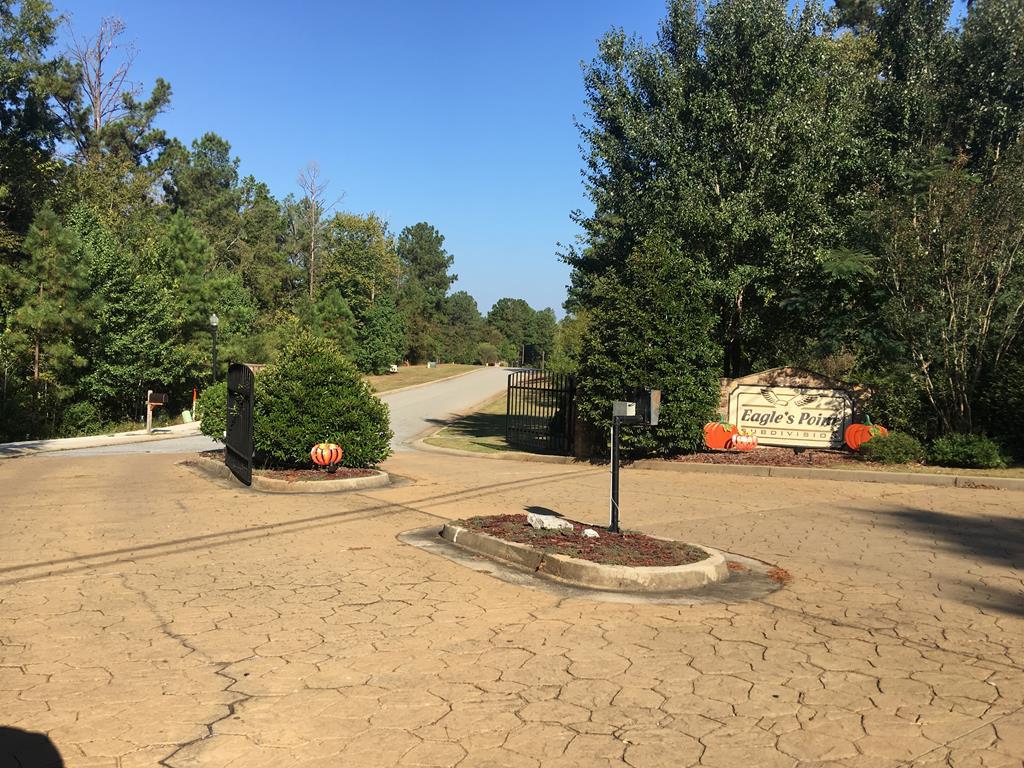 298 Eagles Way - Photo 1
