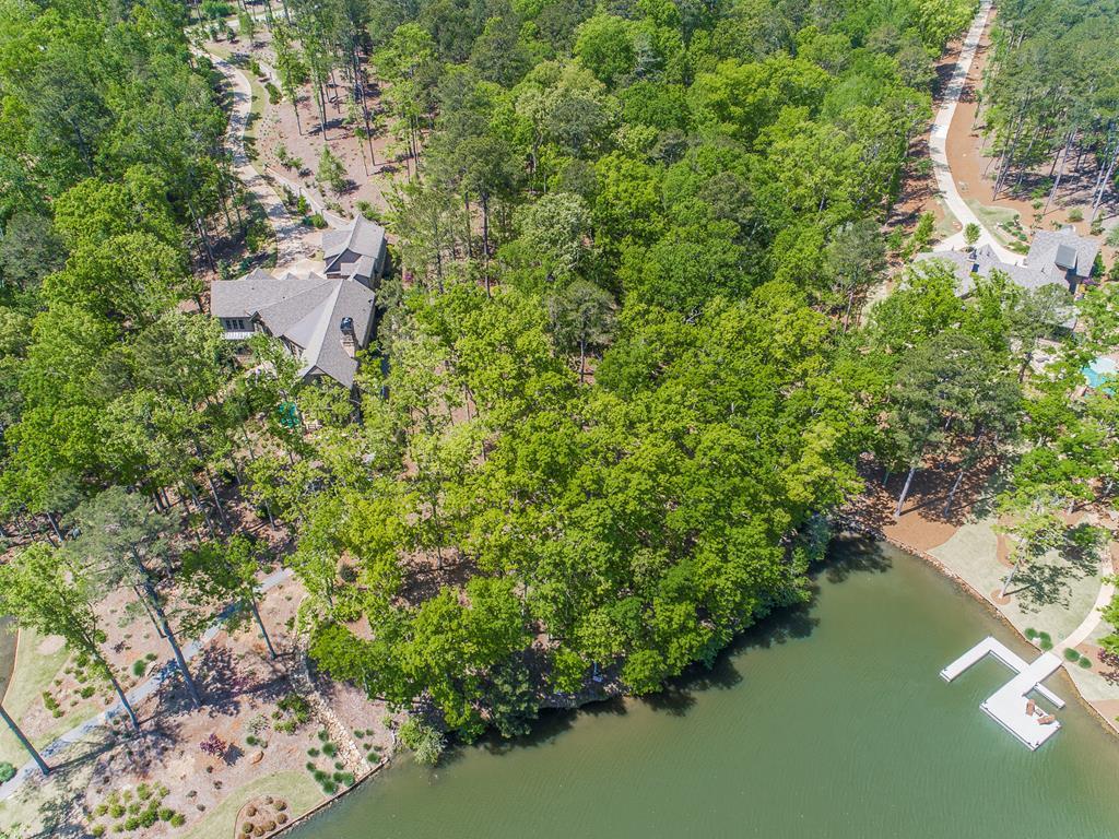 1040 Long Shoals Point - Photo 1