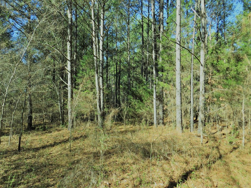 Lot 130 Sugar Hill Dr - Photo 1