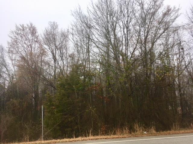 Lot 10 Milledgeville Road - Photo 1
