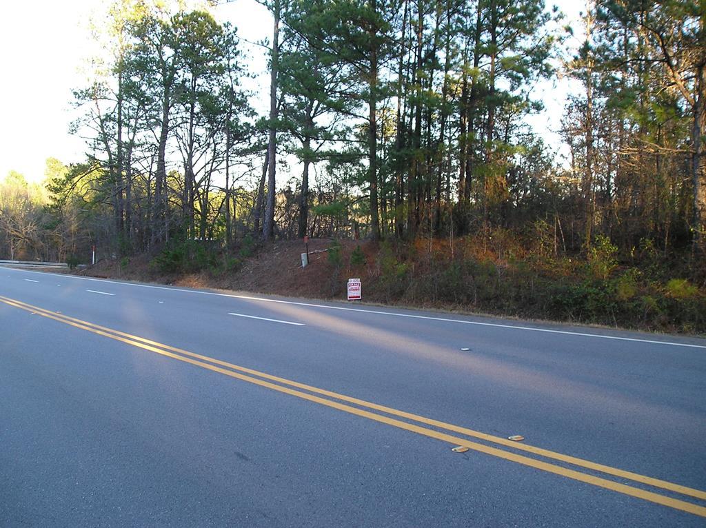 103 Forest Hill Rd. - Photo 1