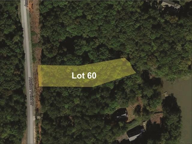 Lot 60 Anchor Point Road - Photo 1