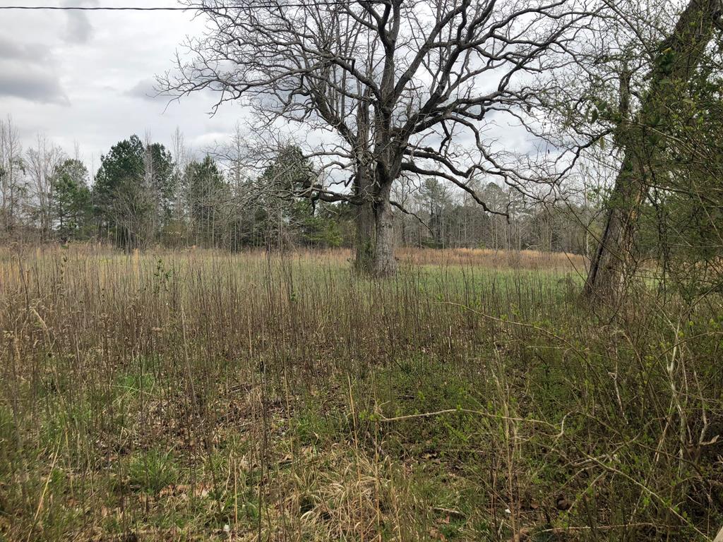 2911 Covey Rise Farm Road - Photo 1