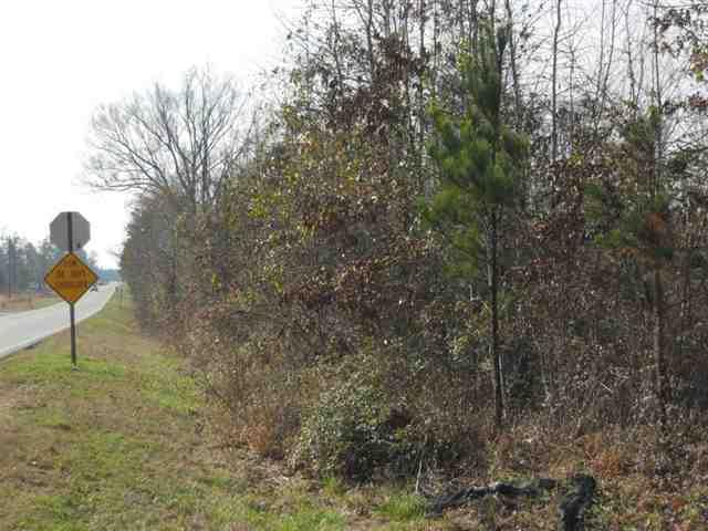 10.42 ac Scuffleboro Road - Photo 1