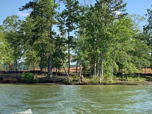 144 Island Creek - Photo 1