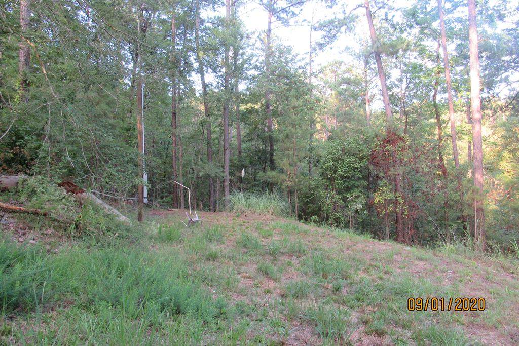 333 Venture Trail - Photo 1