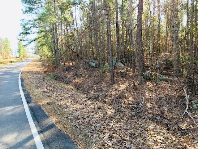 293 Black Springs Road - Photo 1