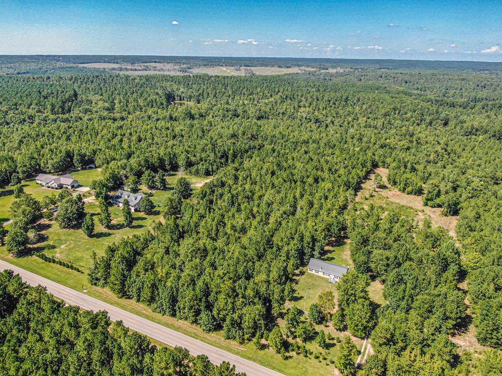 Lot 8 Crooked Creek Road - Photo 1